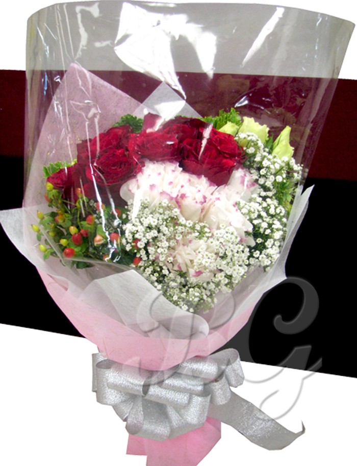 BG_HBQ0010(Rose)