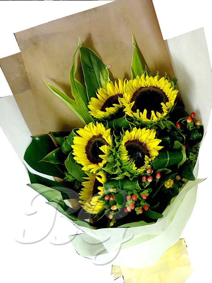 BG_HBQ0017(Sunflower)