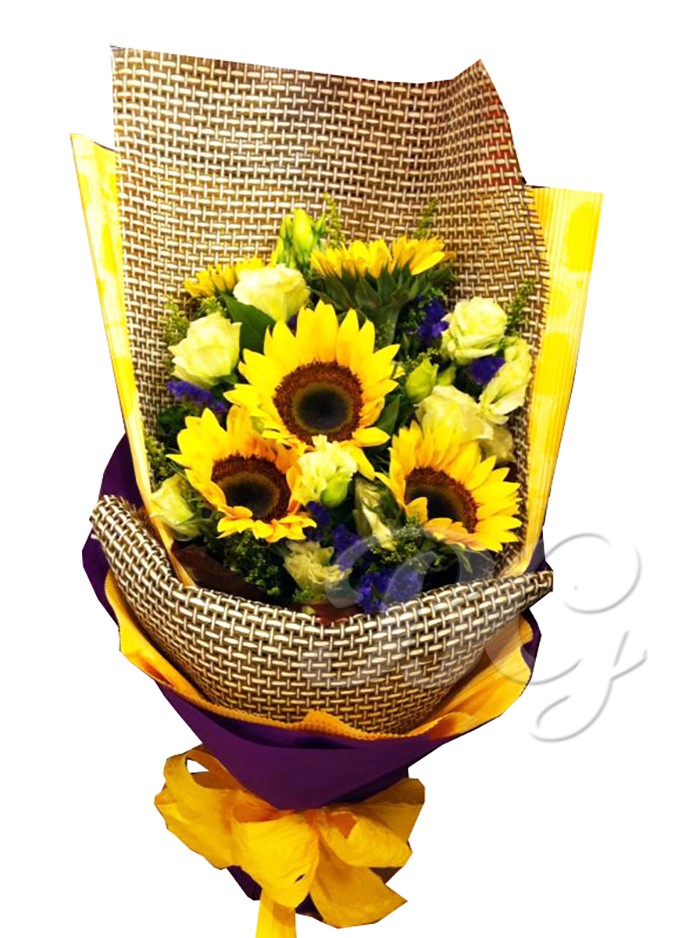 BG_HBQ0018(Sunflower)