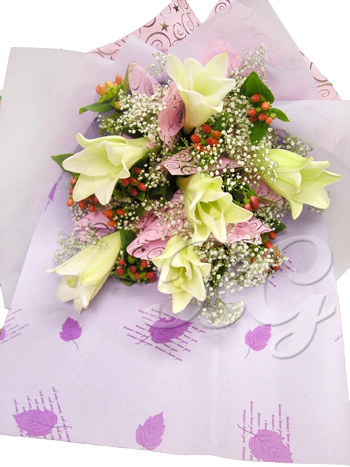 BG_HBQ0034(Lily)