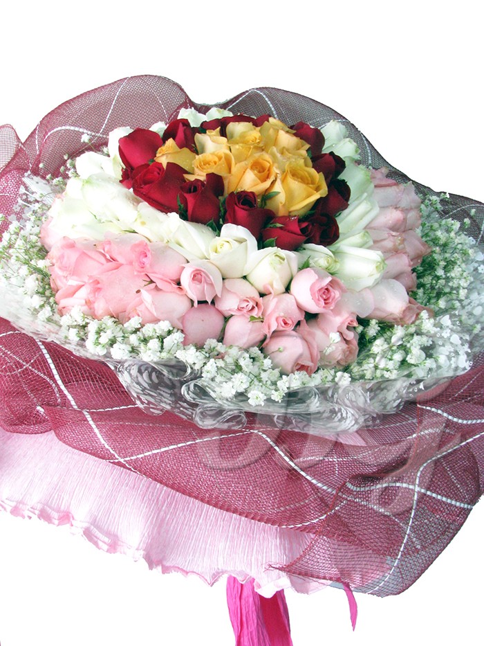 BG_HBQ0090(Rose)