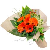 BG_HBQ0011(Gerbera)