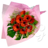 BG_HBQ0014(Gerbera)