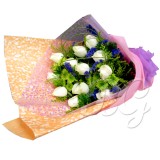 BG_HBQ0116(Rose)