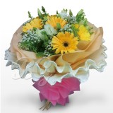 BG_HBQ0013(Gerbera)