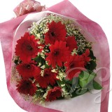 BG_HBQ0015(Gerbera)